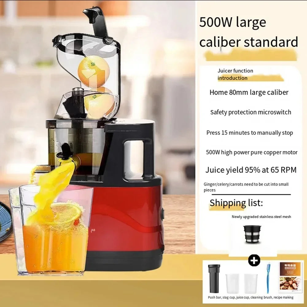 Masticating Juicer Machines
