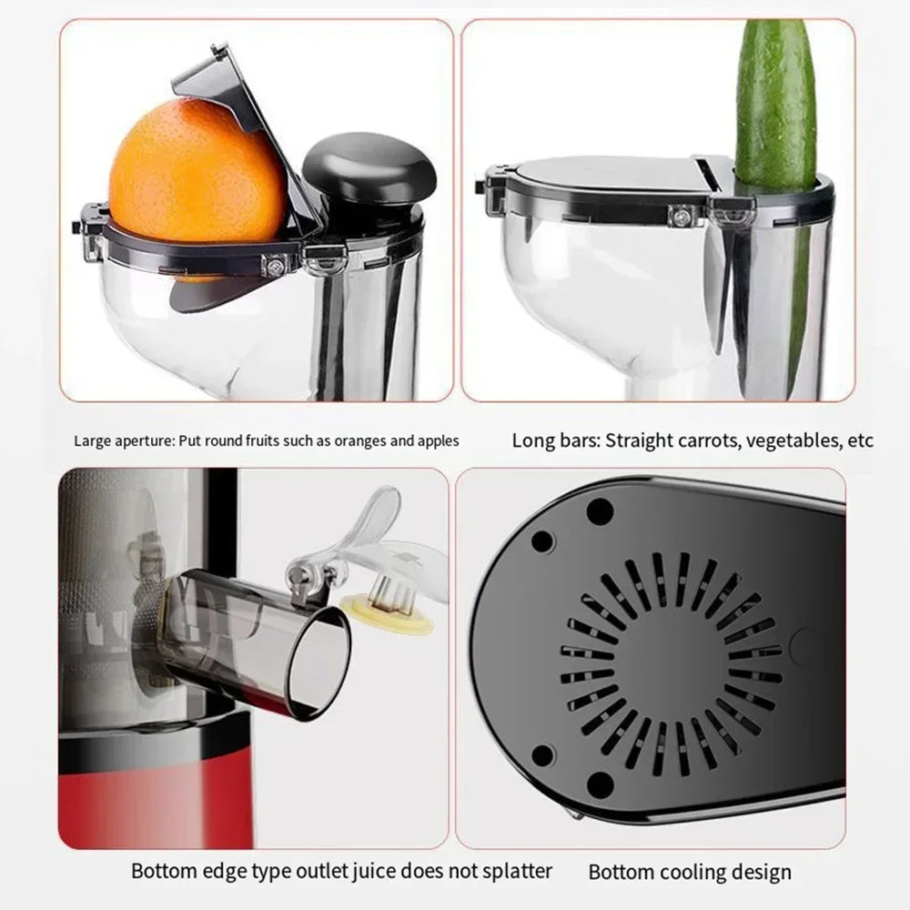 Masticating Juicer Machines