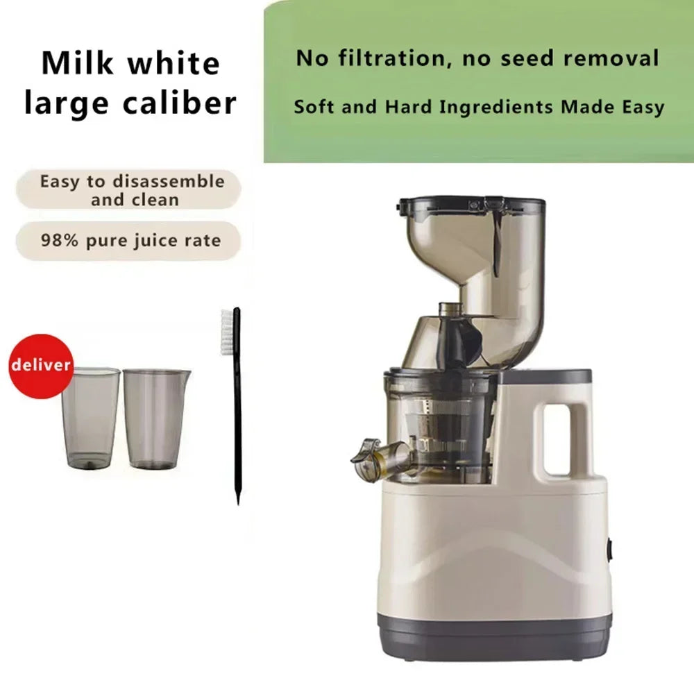 Masticating Juicer Machines