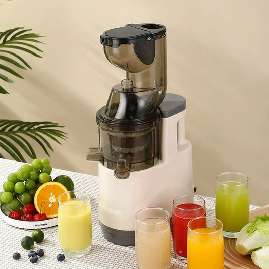 Masticating Juicer Machines